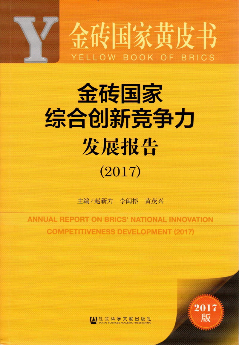 骚屄影院在线金砖国家综合创新竞争力发展报告（2017）